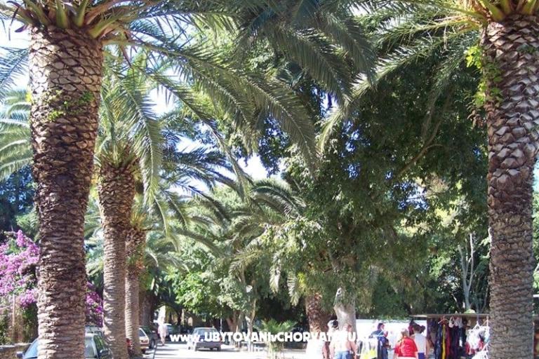 Villa Nelly – foto 21