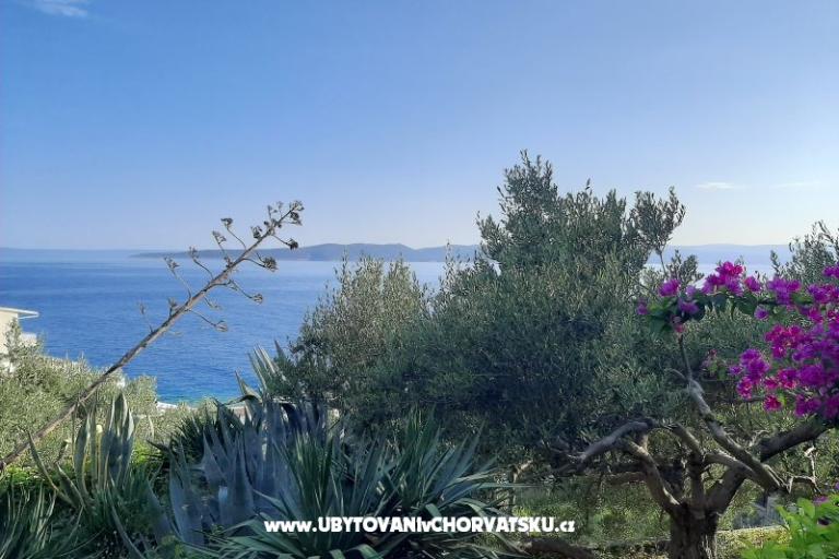 Adria Marija – foto 5