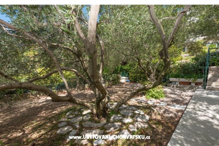 Appartements KiS Zelić – foto 10