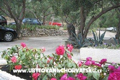 Appartements Nada Mustapić – foto 3