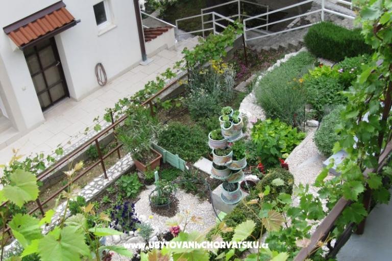 Apartmani  Ivo Pikolo – foto 10
