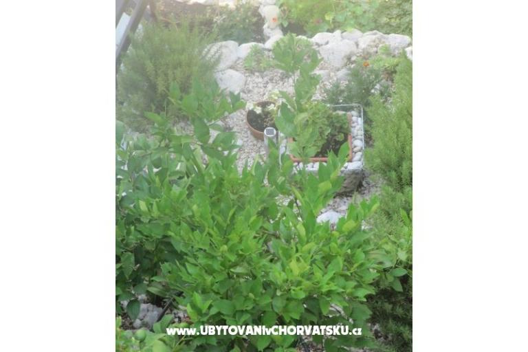 Apartmani  Ivo Pikolo – foto 18
