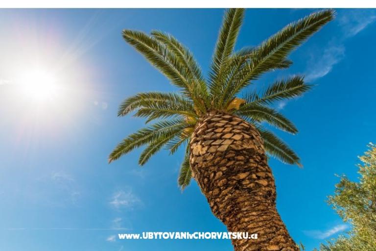 AAppartements Brela Jago – foto 3