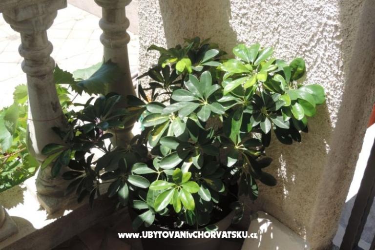Maison Željko i Marija – foto 10