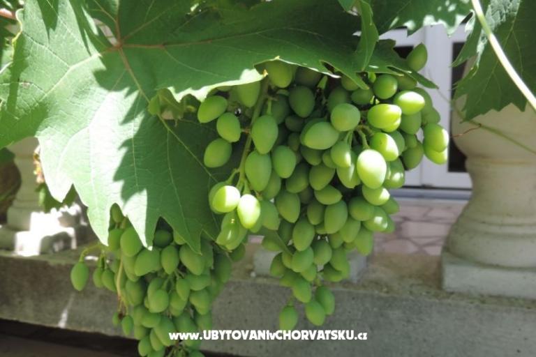 Maison Željko i Marija – foto 13