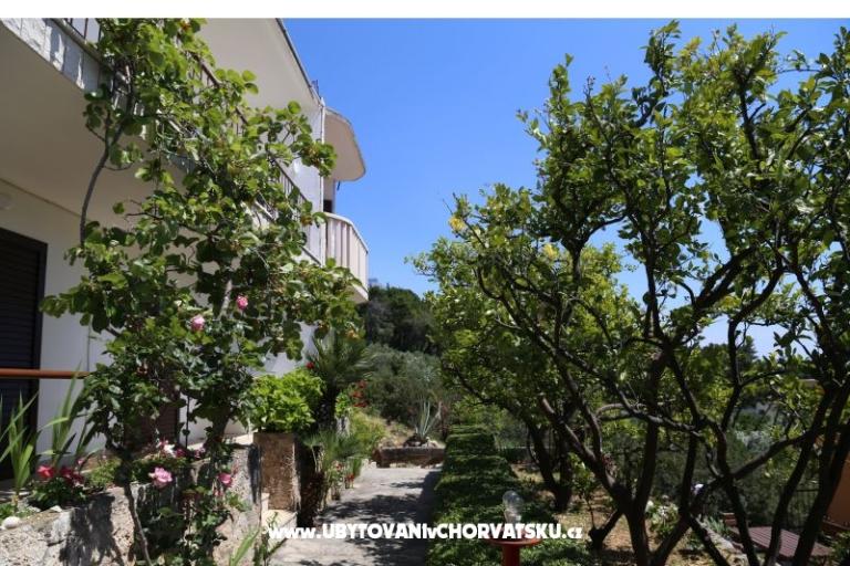 Apartmani Mare – foto 17
