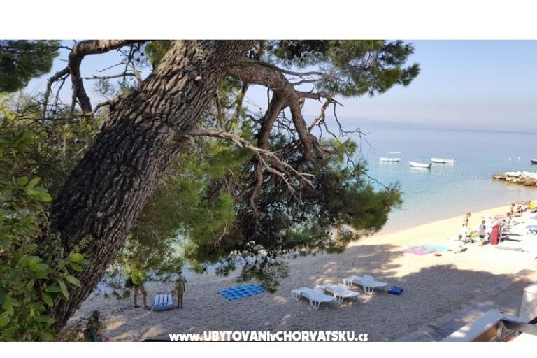 Maison Pokoje Chambre Villa Sodan – foto 11