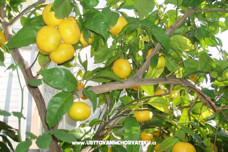 Appartements Orbanić – foto 12