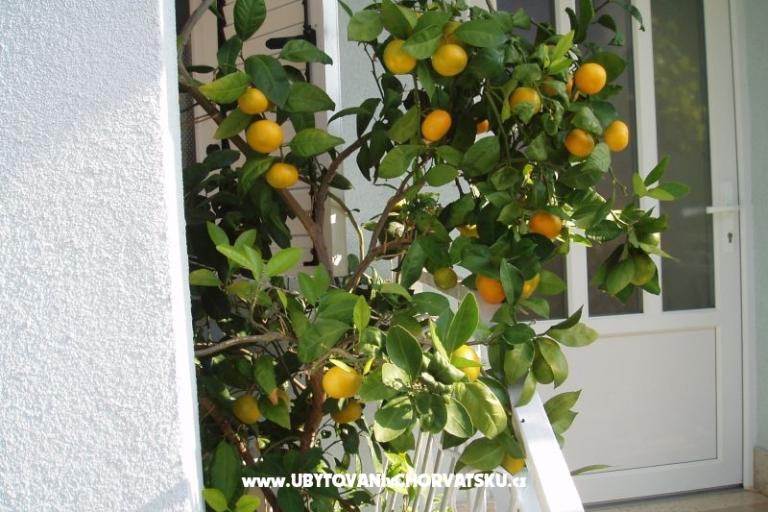 Appartements Orbanić – foto 14