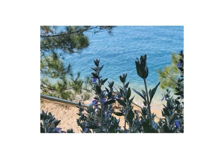 Maison de vacances – foto 4