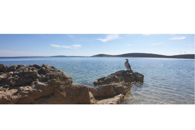 Smještaj Julia – foto 11