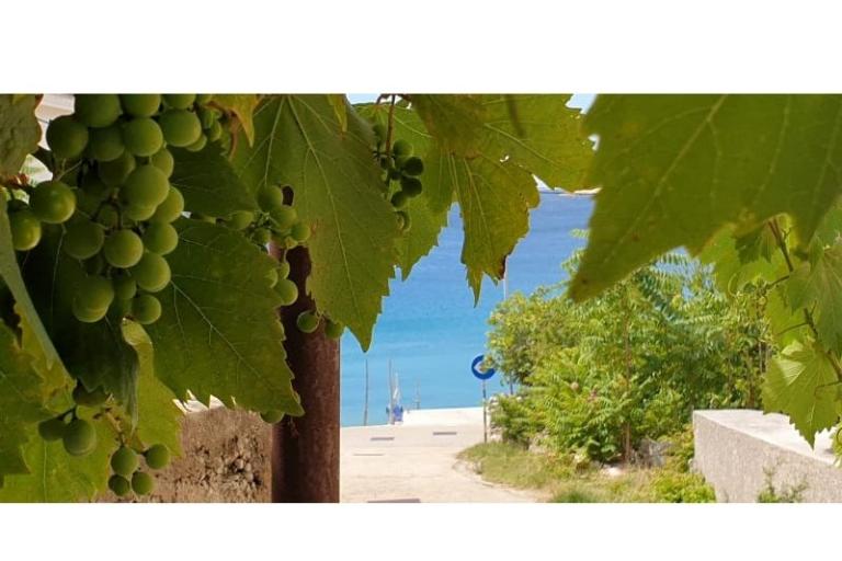 Smještaj Julia – foto 9