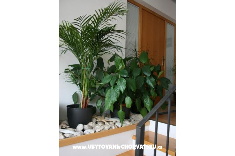 Appartements Katarina – foto 4