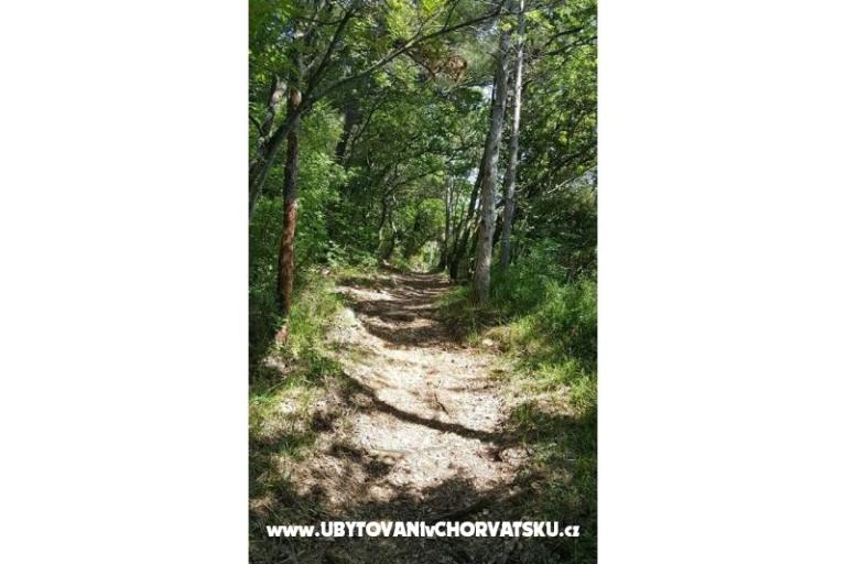 VILLA LYDIA SELCE  – foto 7