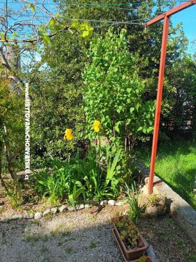 Appartements Rosi – foto 6