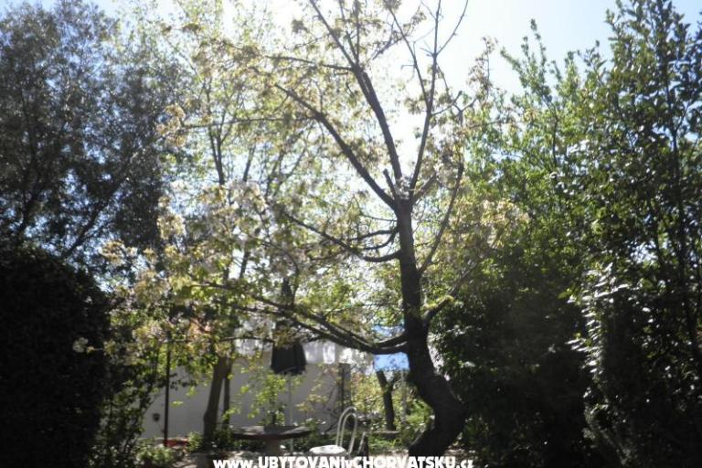 Appartements Rosi – foto 9