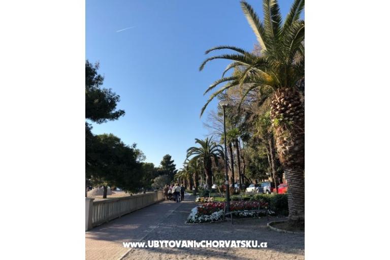 Appartements Sun and Sea – foto 10