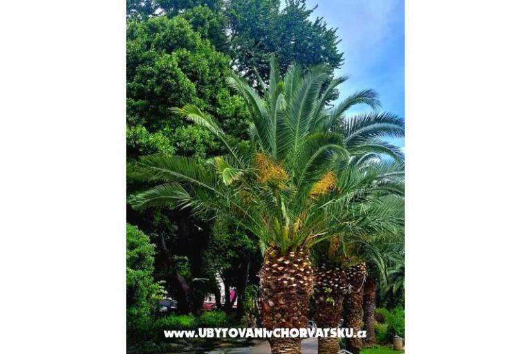 APARTMENTS VUKELIĆ  CRIKVENICA – foto 47