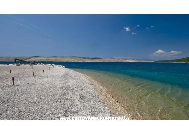 Luka Sočković – foto 12