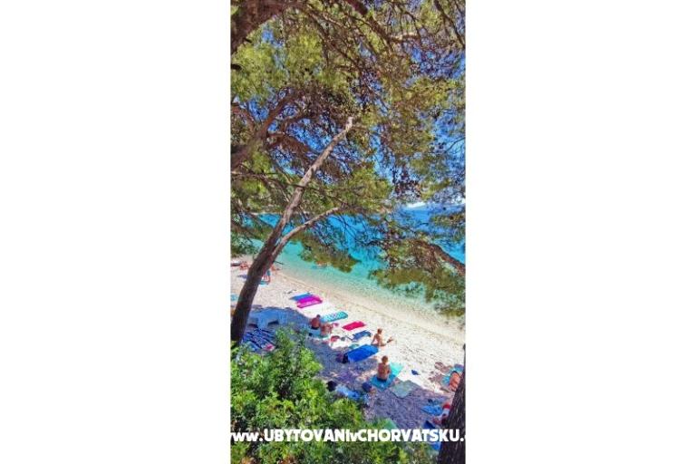 Appartements Kostela – foto 27