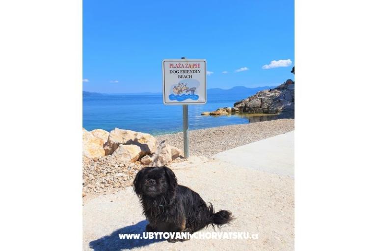 Appartements Villa Ivan Drvenik – foto 16