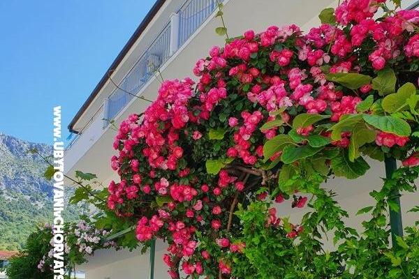 Appartements Villa Ivan Drvenik – foto 2