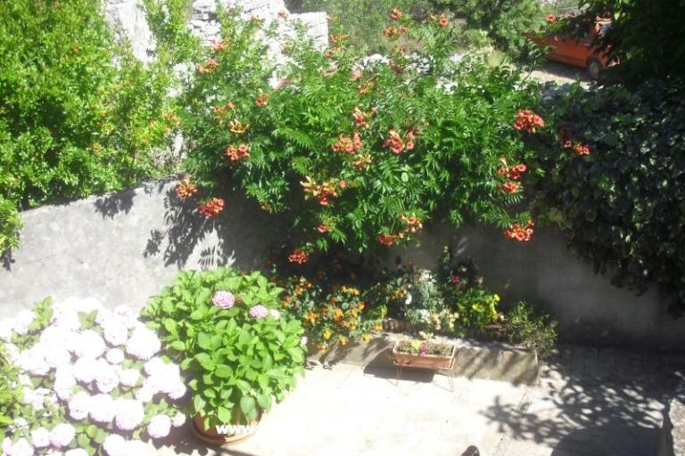 Appartement Jerkunica – foto 11