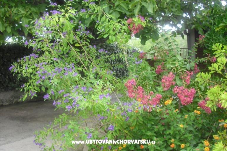 Appartement Jerkunica – foto 12
