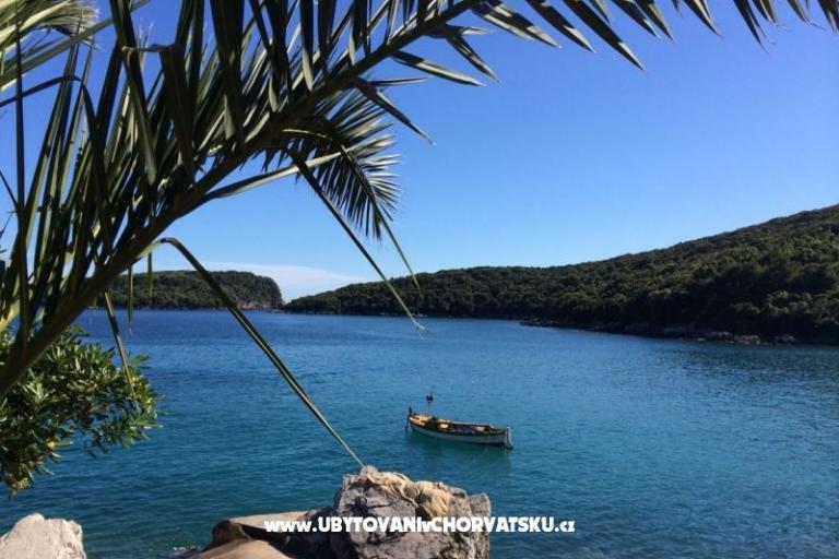 Appartements Antunović – foto 16