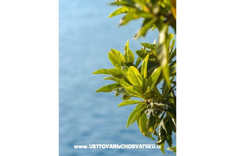 Appartements Diana – foto 10