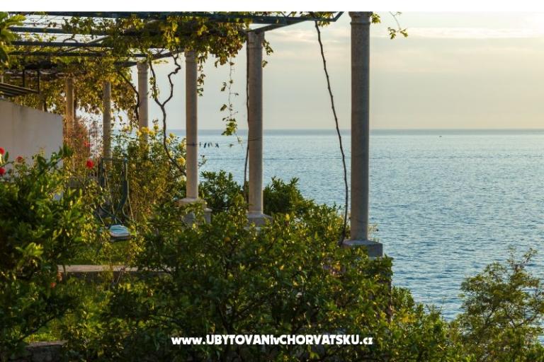 Appartements Diana – foto 13