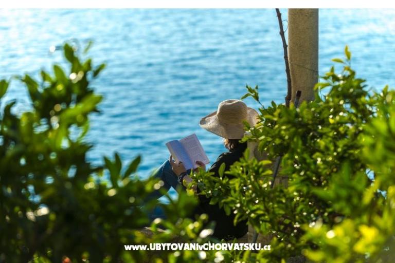 Appartements Diana – foto 5