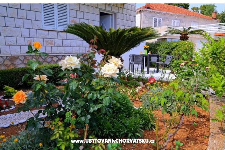 Appartements LOVE DUBROVNIK – foto 14
