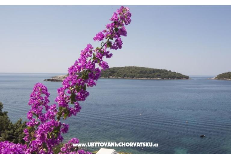 Appartements Rašica – foto 5