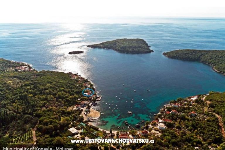 Appartements Villa Riva Molunat – foto 13