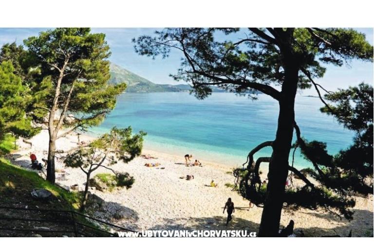 Maison Peric Mlini  – foto 14