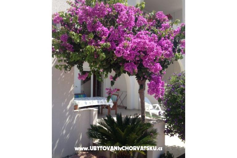 Villa Orij Appartements – foto 5