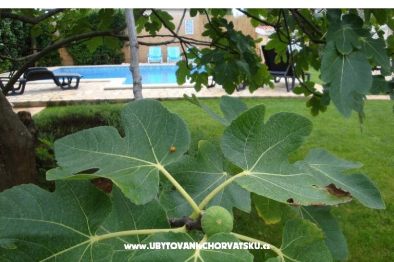 Appartements Dorijo – foto 8