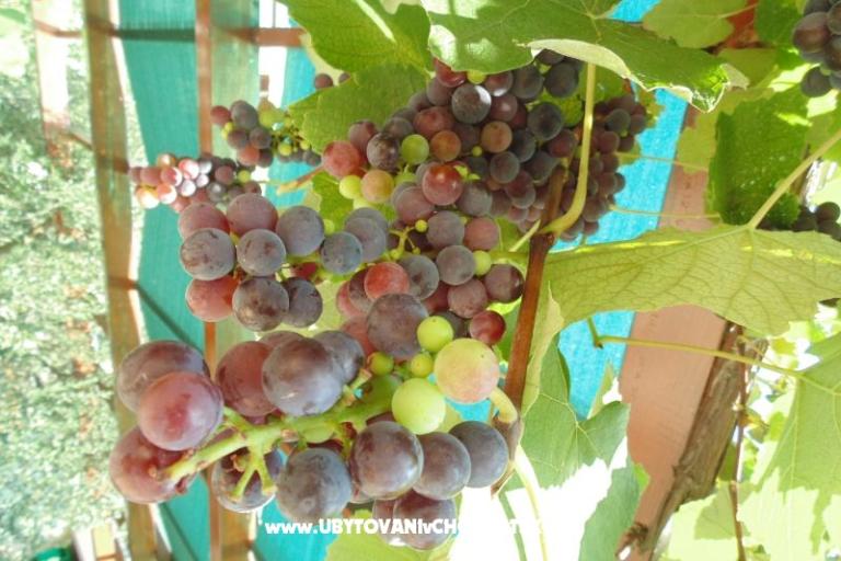 Appartements Josipović – foto 6