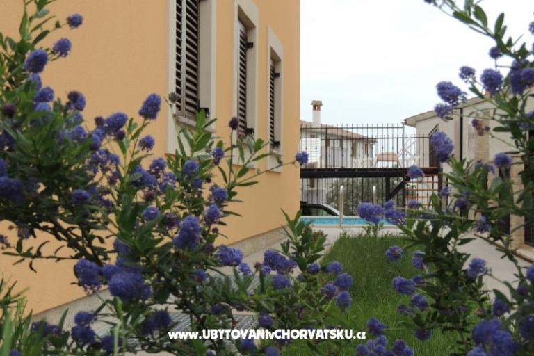 Villa Pineta – foto 14