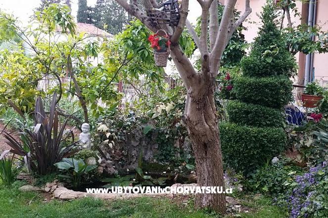 Appartement Ljuba – foto 2