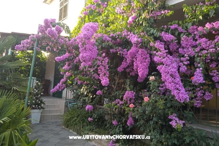 Appartements Majica – foto 6