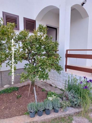 Maison de vacances - Appartement Milka – foto 14