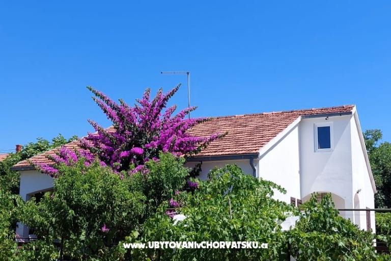 Maison de vacances - Appartement Milka – foto 2