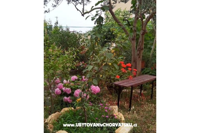 Appartements Andjelka &amp; Jure – foto 8