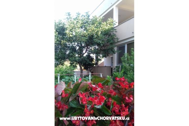 Appartement   " ARZENŠEK " – foto 12