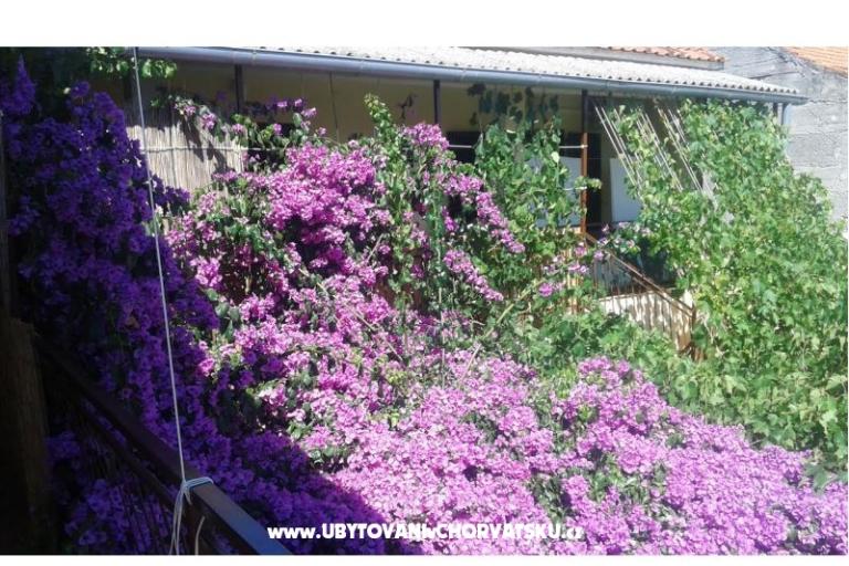 Appartements Liđa – foto 4