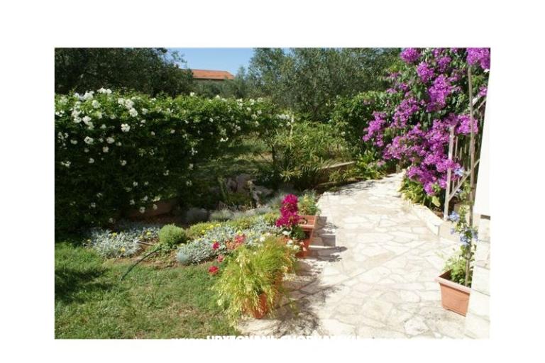 Appartements Vodopija 50eur/2 os – foto 6