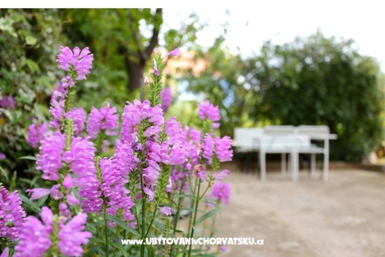 Appartements M – foto 8