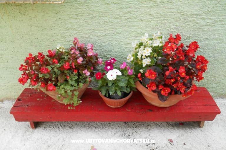 Appartements Mirjana – foto 12
